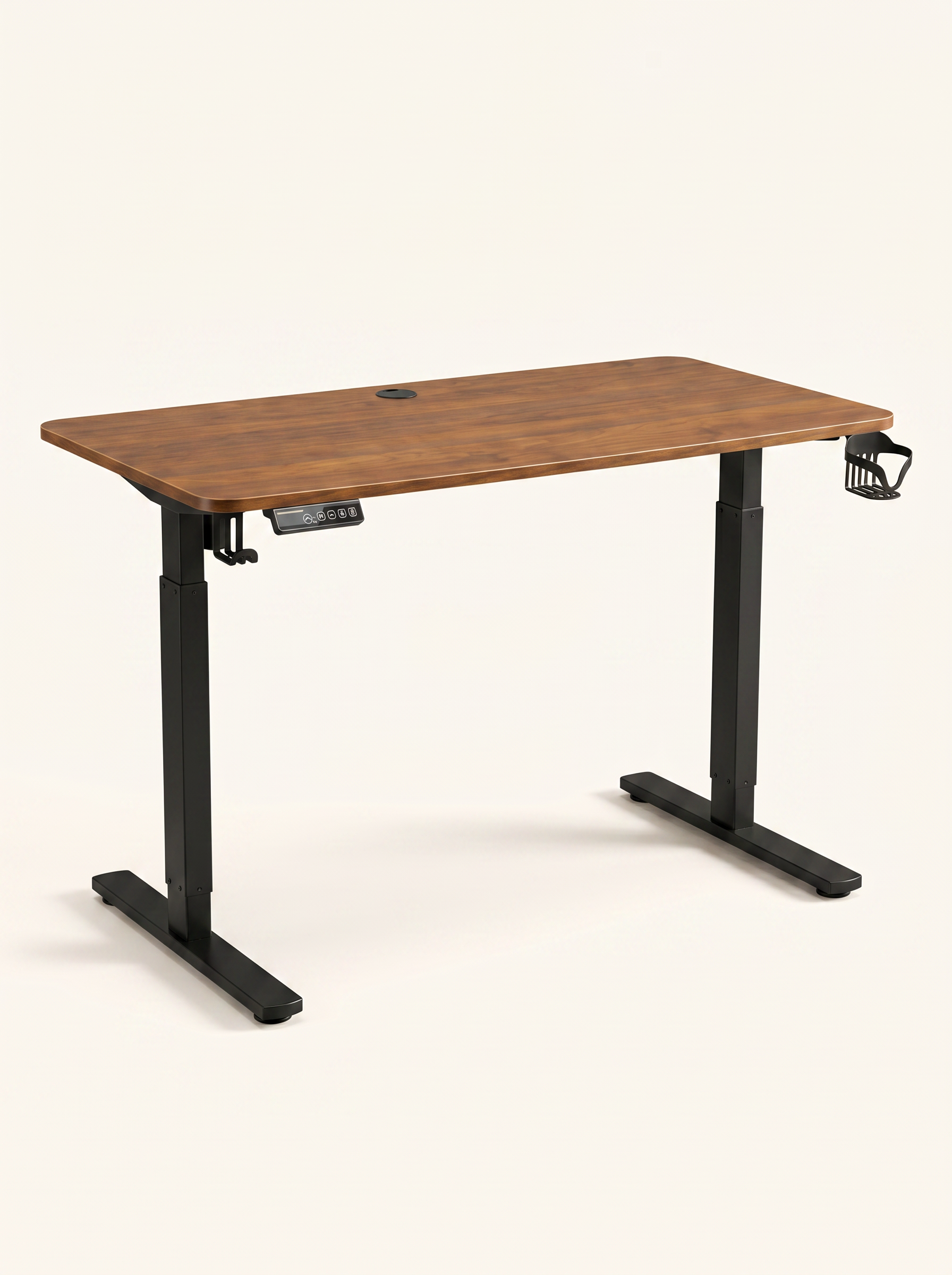 Electric Adjustable Table RL001
